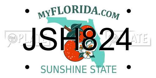 JSH824 Florida License Plate