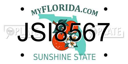 JSI8567 Florida License Plate
