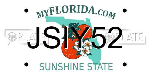 JSIY52 Florida License Plate