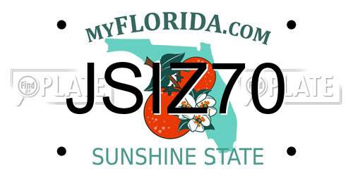 JSIZ70 Florida License Plate