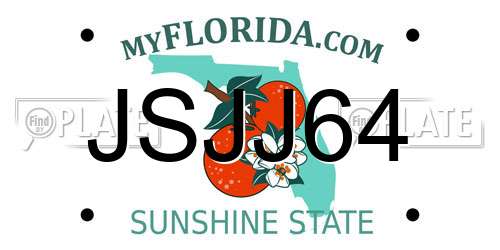 JSJJ64 Florida License Plate