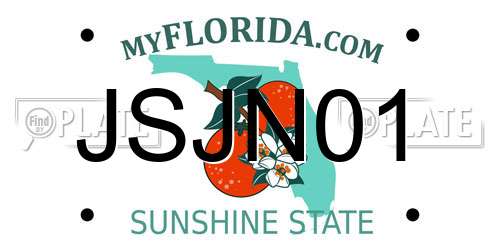 JSJN01 Florida License Plate