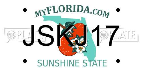 JSKJ17 Florida License Plate