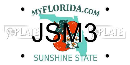 JSM3 Florida License Plate