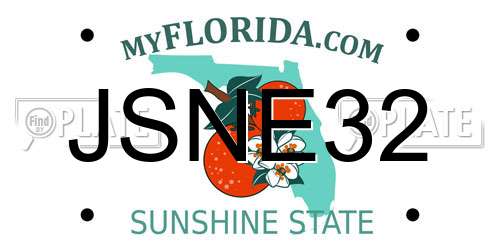JSNE32 Florida License Plate