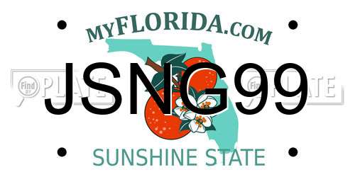 JSNG99 Florida License Plate