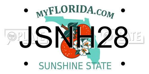 JSNH28 Florida License Plate