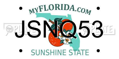 JSNQ53 Florida License Plate