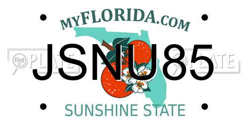 JSNU85 Florida License Plate