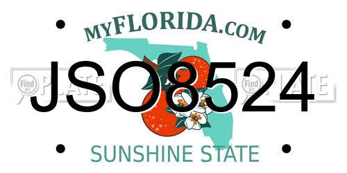 JSO8524 Florida License Plate