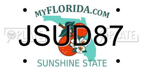 JSUD87 Florida License Plate