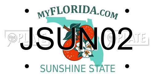 JSUN02 Florida License Plate
