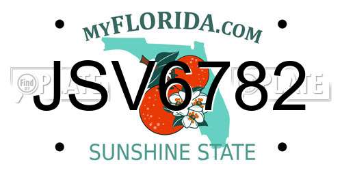 JSV6782 Florida License Plate