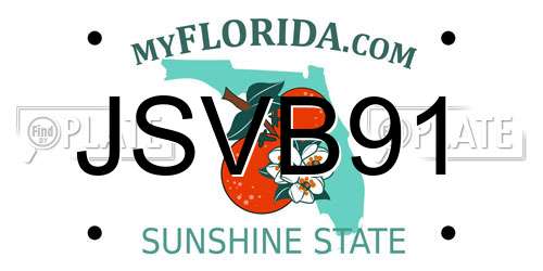 JSVB91 Florida License Plate