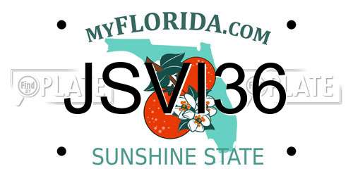 JSVI36 Florida License Plate