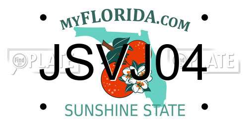 JSVJ04 Florida License Plate