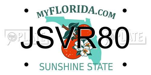 JSVR80 Florida License Plate