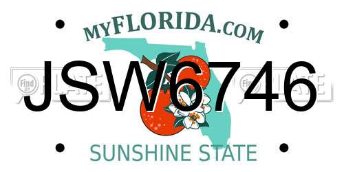JSW6746 Florida License Plate