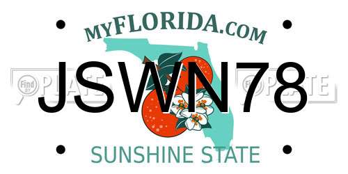 JSWN78 Florida License Plate