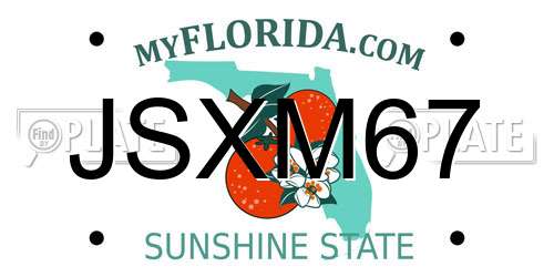 JSXM67 Florida License Plate