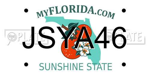 JSYA46 Florida License Plate