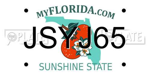JSYJ65 Florida License Plate