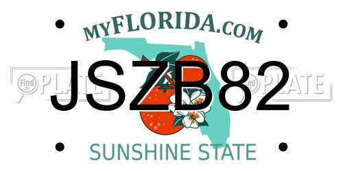 JSZB82 Florida License Plate