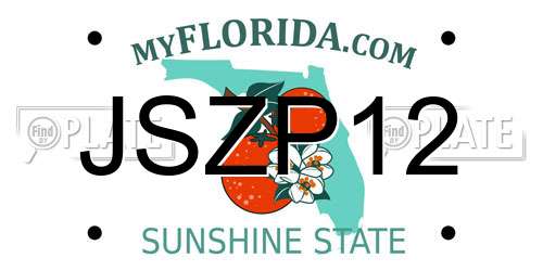JSZP12 Florida License Plate