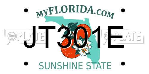 JT301E Florida License Plate