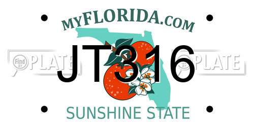 JT316 Florida License Plate
