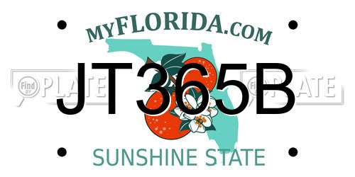 JT365B Florida License Plate
