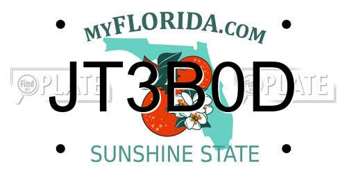 JT3B0D Florida License Plate