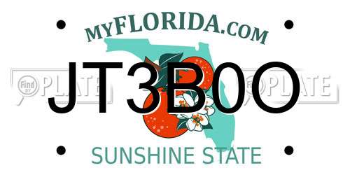 JT3B0O Florida License Plate