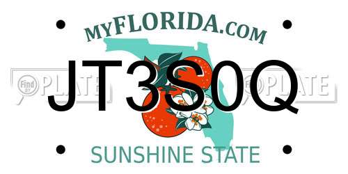 JT3S0Q Florida License Plate