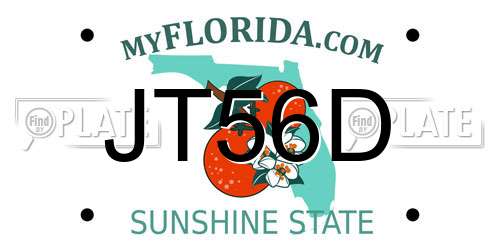 JT56D Florida License Plate