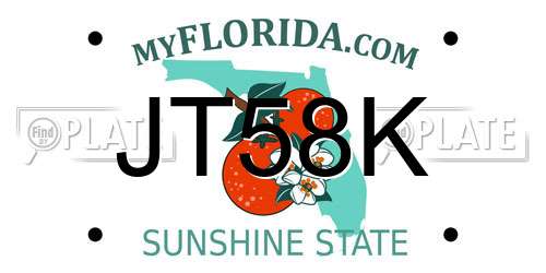 JT58K Florida License Plate