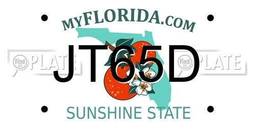 JT65D Florida License Plate