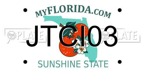 JTCI03 Florida License Plate