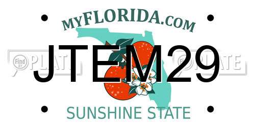 JTEM29 Florida License Plate