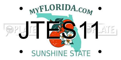 JTES11 Florida License Plate