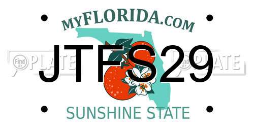 JTFS29 Florida License Plate