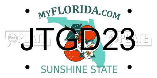 JTGD23 Florida License Plate