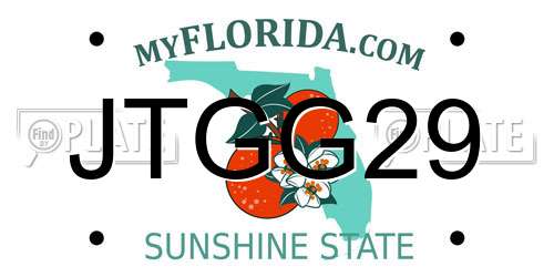 JTGG29 Florida License Plate