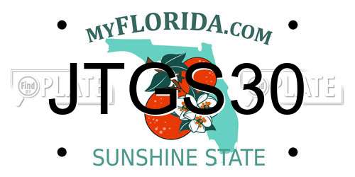 JTGS30 Florida License Plate