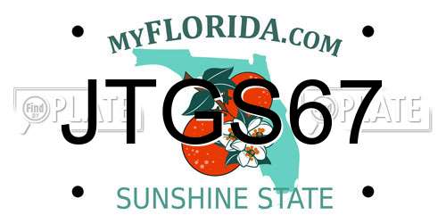 JTGS67 Florida License Plate