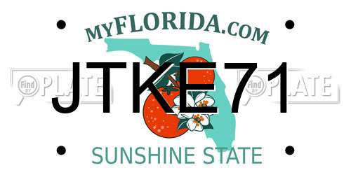 JTKE71 Florida License Plate