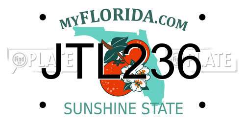JTL236 Florida License Plate