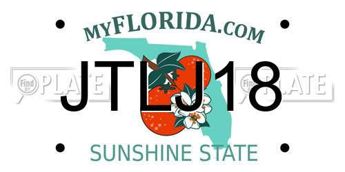 JTLJ18 Florida License Plate