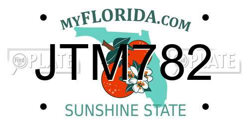 JTM782 Florida License Plate