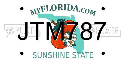 JTM787 Florida License Plate